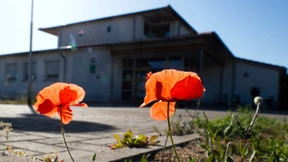 Staatsanwaltschaft gesteht Versäumnis ein