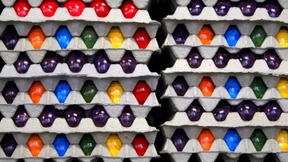 Verseuchte Eier wohl schon verzehrt