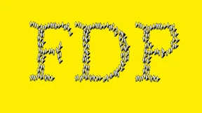 Die FDP auf der Sinnsuche