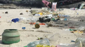 Das Problem mit den Alternativen