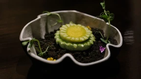 Zwischen Garküchen und Sterneküche