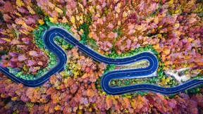 Das sind die schönsten Herbstfotografien