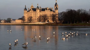 Frau soll 150 Mal in Hotels übernachtet haben – ohne je zu bezahlen