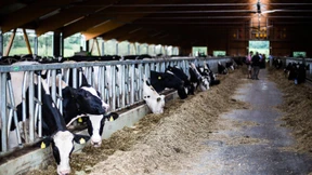 Zwischen Sparappellen und Hilferufen