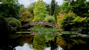 Savoir-vivre im beeindruckenden Park