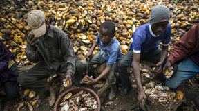Werden Schokoladenhersteller künftig für Kinderarbeit haften?
