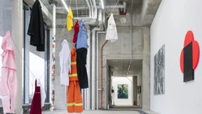 Der Hund ohne Heimat