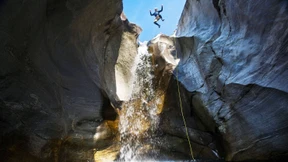 Stein oder Nichtsein