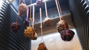 Rote Bete und Steckrübe aus dem Räucherschrank