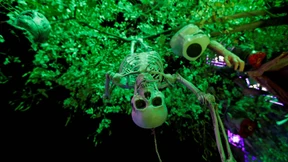 Vier Charts zum Gruseln