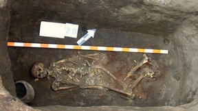 Vom jungen Boom der Blonden und Blauäugigen