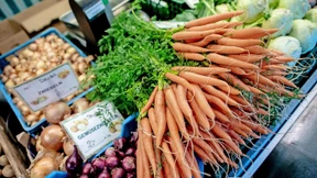 Bioprodukte kommen oft aus dem Ausland