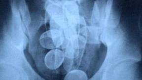 Leichtsinniger Drogenkurier muss hinter Gitter