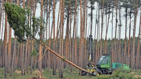 Das unterschätzte Risiko Naturzerstörung