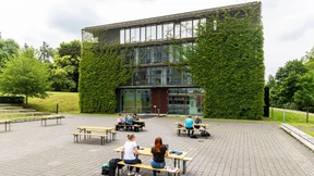 Skyline mit Mondsichelfarn