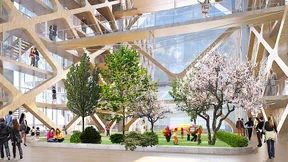 Mit Holz geht’s aufwärts 