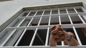 Forschung hinter Gittern macht frei