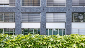 Scharfe Kritik an Führungsstruktur