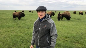 Wo die wilden Pferde wohnen