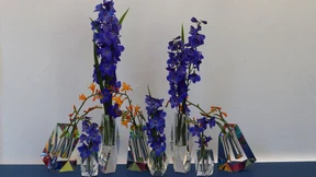 Zerbrechliche Zierde