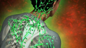 So funktioniert unser Immunsystem