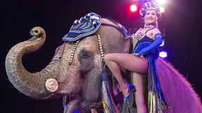 Wie eine junge Frau den größten Zirkus der Welt führt