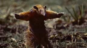 Warum sind wir so passiv?