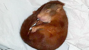 Von Karl-Friedrich verfolgt