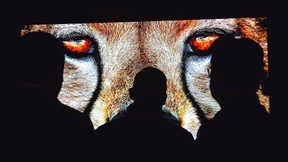 Pixelflut im Wohnzimmer