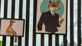 One heißt künftig Wefox Insurance