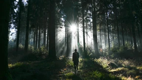 EU einigt sich auf höheres Klimaziel