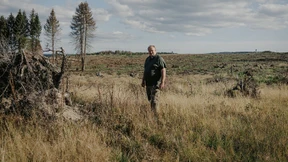Das Vernichtungswerk der Borkenkäfer