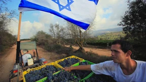 Viele kleine Wunder in der Wüste