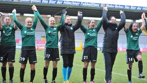 Zebras als  Kavaliere  