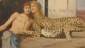 Sie blenden und verzaubern