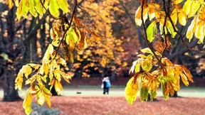 Es war rekordverdächtig warm