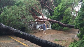 Brandenburgs Sozialministerin bei Unwetter schwer verletzt