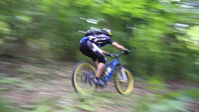 Kampfszenen unter der Fichte