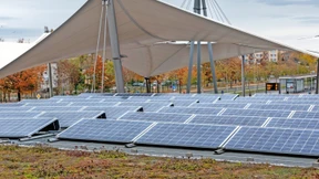 Vom Schmuddelkind zum grünen Wunder?