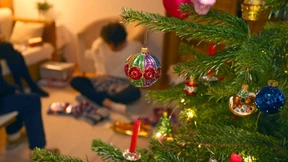 Darauf haben sich die Länder geeinigt