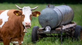 OECD: Treibhausgasemissionen der Landwirtschaft steigen weiter