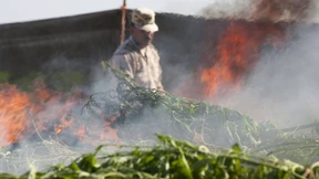 Mexikos verheerende Bilanz