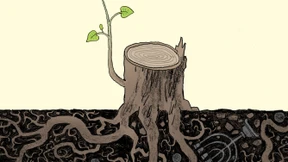 Viele Schicksale teilen ein Schicksal