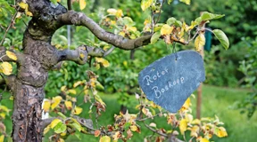 Die Wiesen sind für alle da