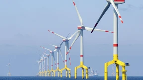 Studie nährt  Zweifel am grünen Stellenwunder