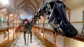 Englische Kirche lockt Besucher mit Rutsche und Dino-Skelett 