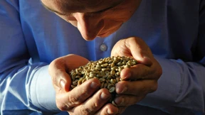 Das Geheimnis der schwarzen Bohnen