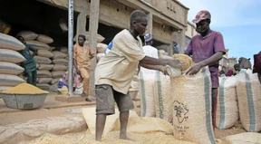 Der Krieg und der Weizen