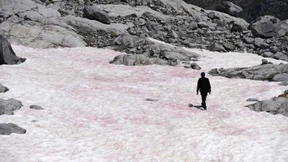 Alpen-Gletscher im Norden Italiens färbt sich pink