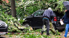 Bahn gibt einige Strecken wieder frei